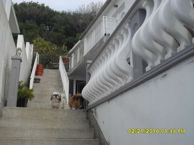 Апартаменты Apartment Batricevic Улцинь-37